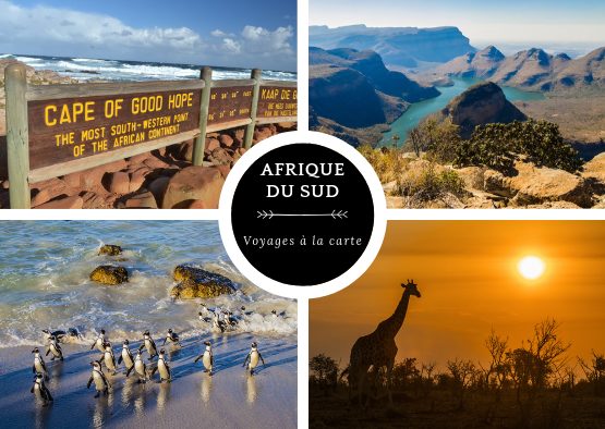 A la carte : votre voyage sur mesure - Les matins du monde