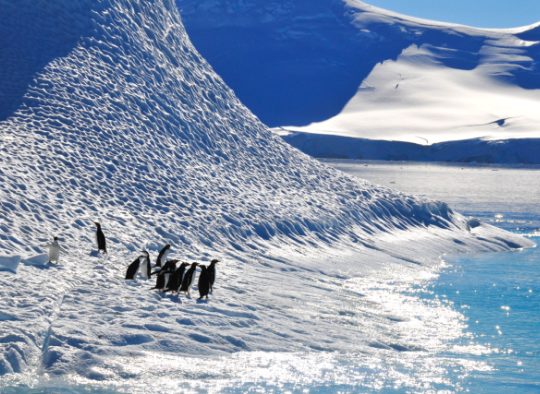 Antarctique - Voyage d'exception en péninsule Antarctique
