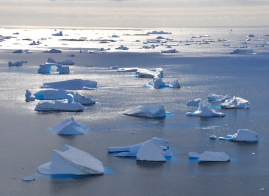 Antarctique - Voyage d'exception en péninsule Antarctique