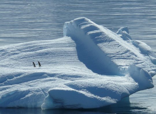 Antarctique - Ski exploration en Péninsule Antarctique