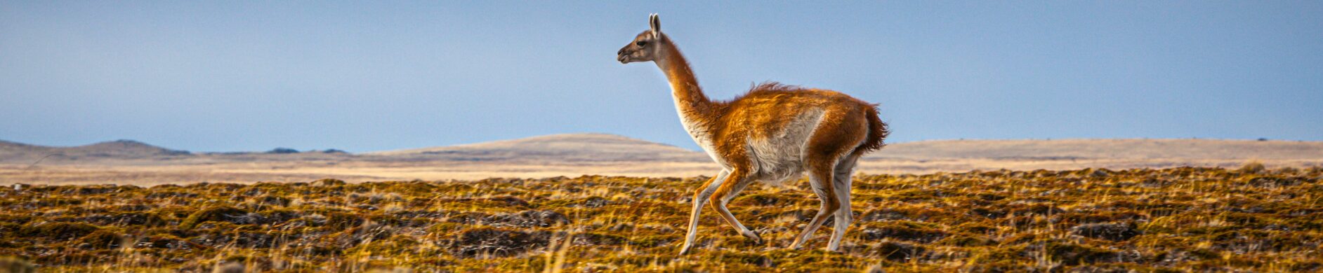 Argentine+Patagonie+Voyage+Sur-Mesure - Les matins du monde