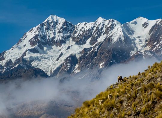 Bolivie - Alpinisme dans la Cordillera Real
