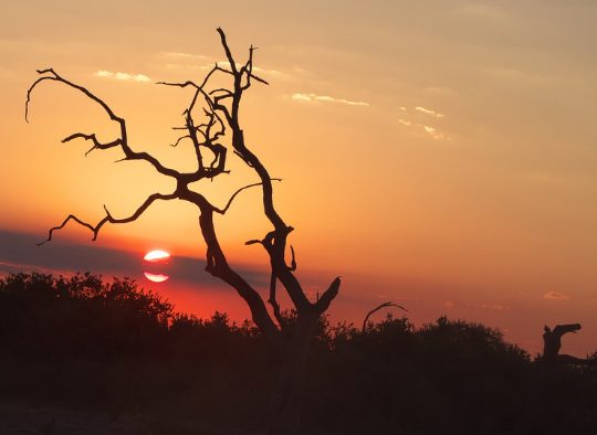 Botswana - A la carte : votre voyage sur mesure