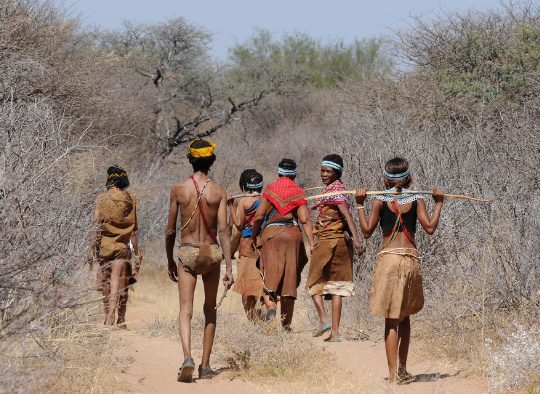 Botswana - A la carte : votre voyage sur mesure