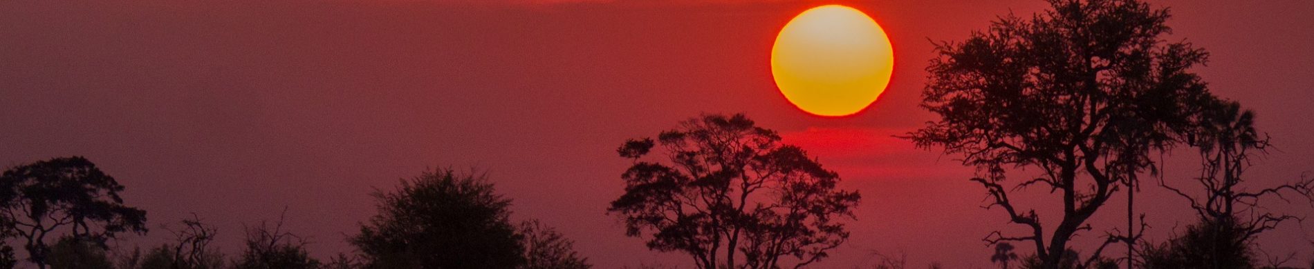 Botswana - Les Matins du Monde