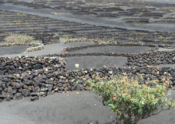 Lanzarote et Fuerteventura - Les matins du monde