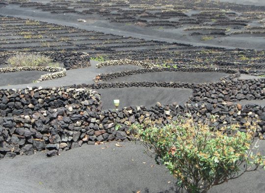 Lanzarote et Fuerteventura - Les matins du monde