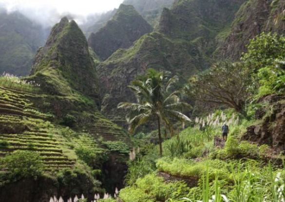Archipel de Lumière - Les matins du monde