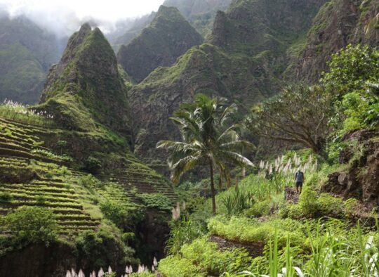 Archipel de Lumière - Les matins du monde