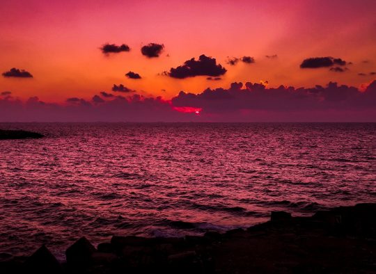 Egypte - Découverte d’Alexandrie et Le Caire