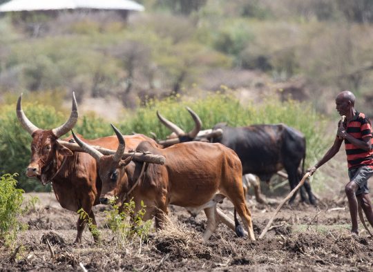 Ethiopie - A la carte : votre voyage sur mesure