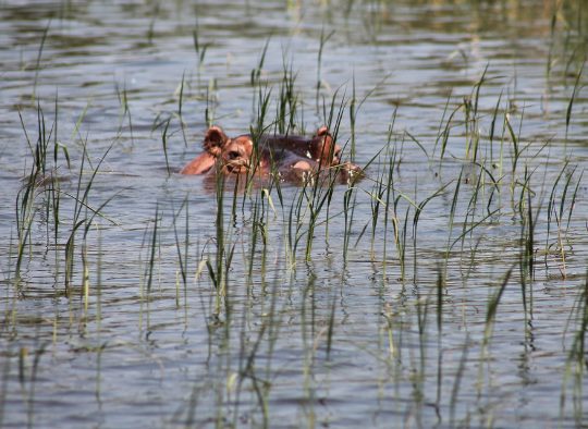 Ethiopie - A la carte : votre voyage sur mesure
