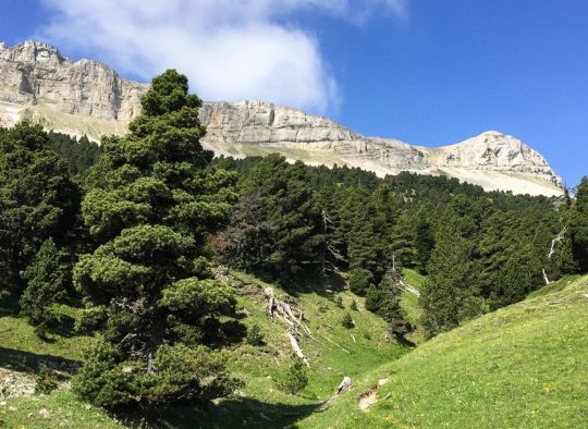 France - Les Balcons du Vercors