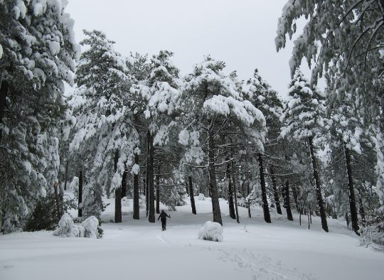 France - Ski de randonnée en Corse