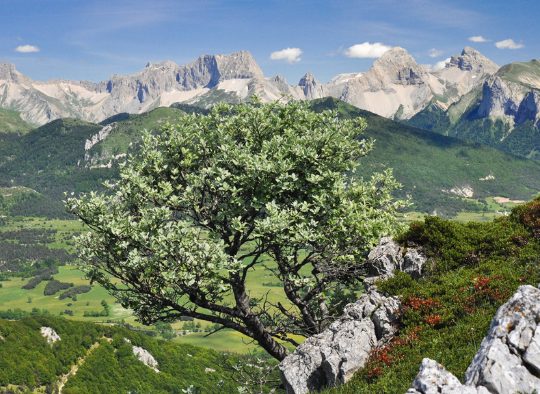 France - Massif du Diois, entre Vercors et Provence - 3 à 6 jours