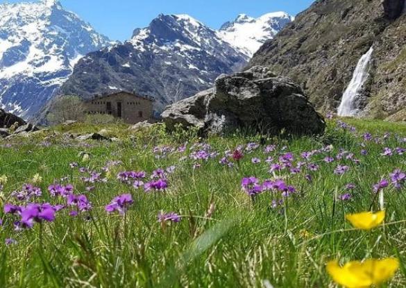 Parc des Ecrins randonnée et traversée sauvage - Les matins du monde