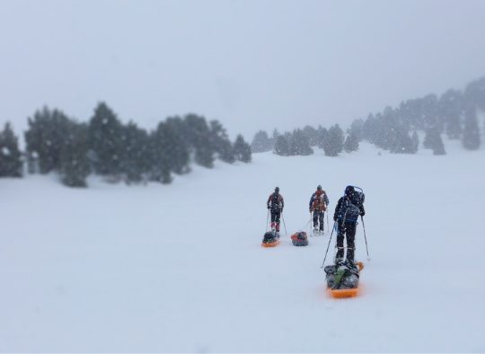 Ambiance Grand Nord, stage initiation raquette et pulka - Les matins du monde