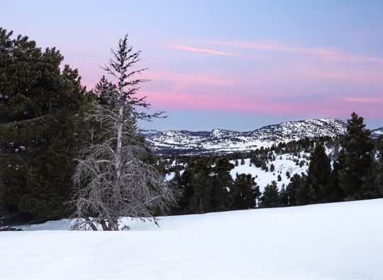 France - Pulka dans les Hauts-Plateaux du Vercors