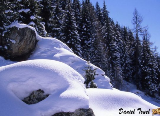 France - Raquettes, randonnées en étoile tous les après-midi