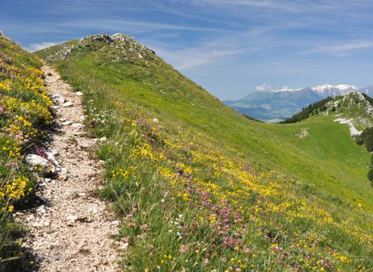 France - Traversée du Vercors, entre forêts, crêtes et plateaux