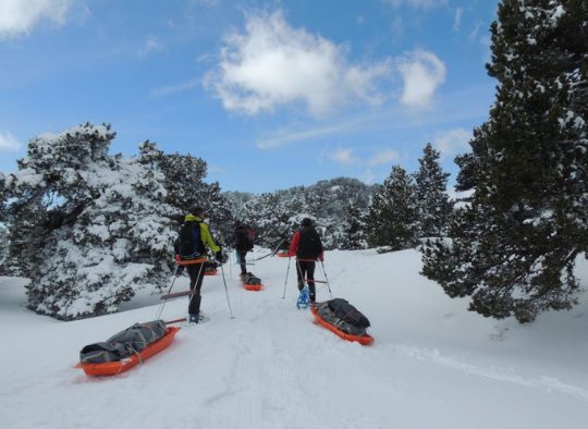 Pulka randonnée raquette dans la Vallée de la Clarée - Les matins du monde
