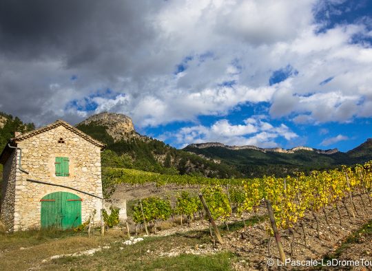 France - Terroir et paysages - Randonnées en étoile entre Diois et Vercors