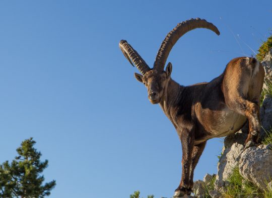 Vercors et Diois, randonnée dans le cirque d'Archiane - Les matins du monde