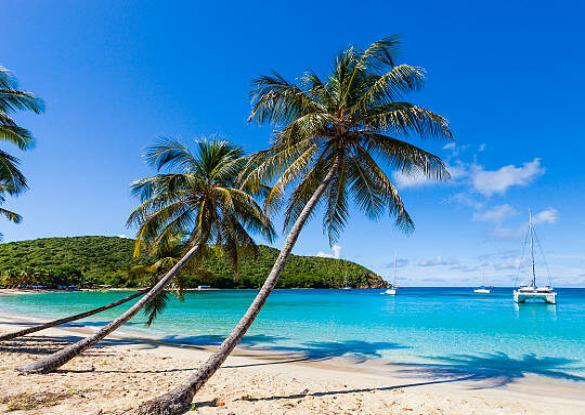 Croisiére en catamaran aux îles Grenadines  - Les matins du monde