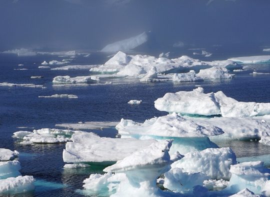 Les Fjords de Nuuk en voilier - Les matins du monde