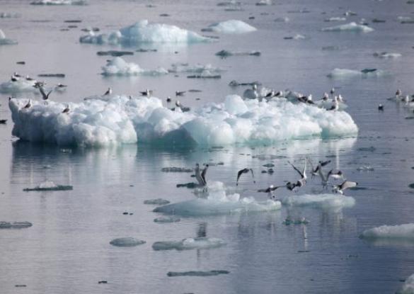 Ski Bateau sur la côte Ouest du Groenland  - Les matins du monde