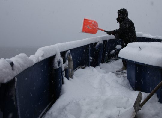 Groenland - Ski Bateau sur la côte Ouest du Groenland 