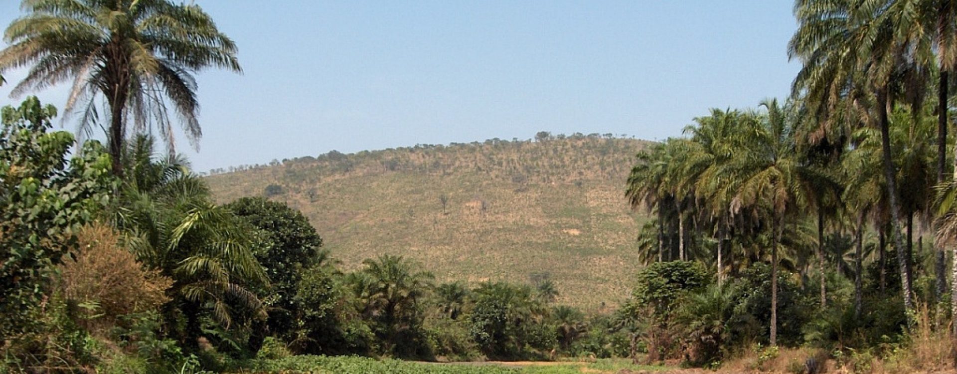 Destination - Guinée