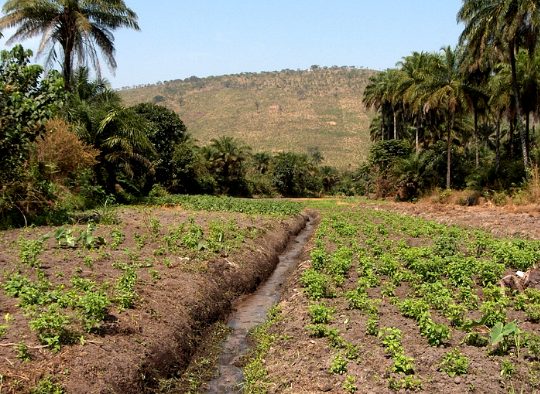 Du Fouta Djalon à la façade Atlantique - Les matins du monde