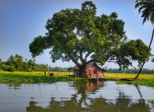 Inde - A la carte : votre voyage sur mesure