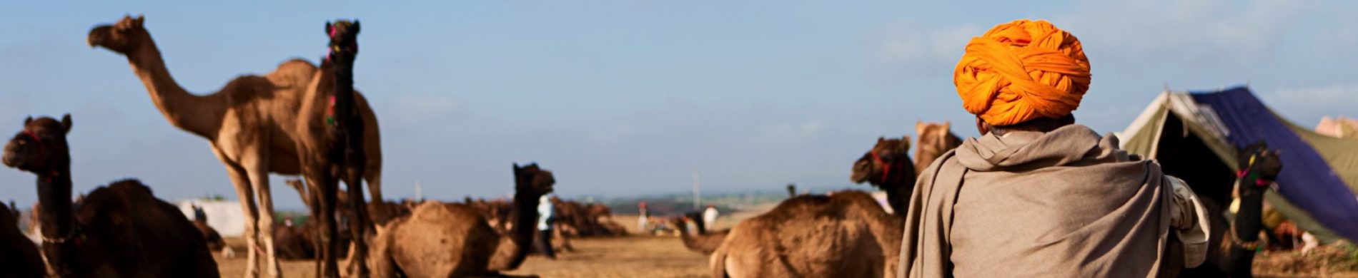 Destination : Inde - Les matins du monde