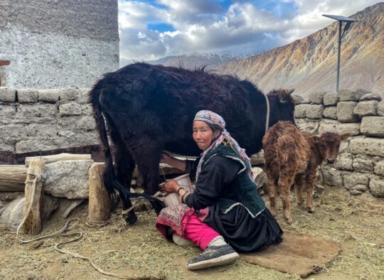 Inde Himalayenne - Trek et alpinisme au Petit Tibet