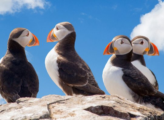 Islande - A la carte : votre voyage sur mesure