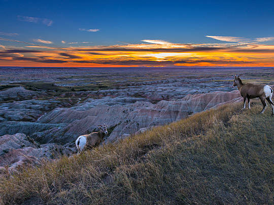 Irlande - A la découverte de l'Irlande en liberté 