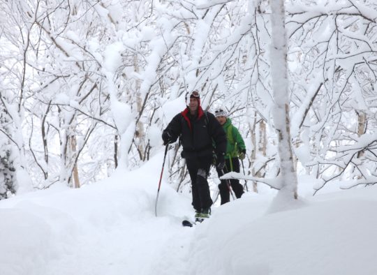 Poudreuse sur l'île d'Hokkaido - Les matins du monde