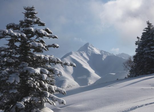 Japon - Ski de randonnée et ascension du Fujiyama