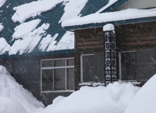 Japon - Poudreuse sur l'île d'Hokkaido