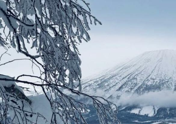 Safari Hokkaido - Les matins du monde