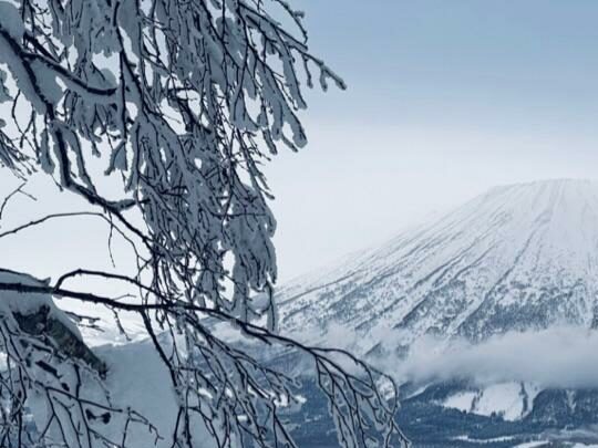 Japon - Safari Hokkaido
