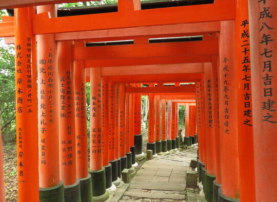 Japon - Ski dans les Alpes Japonaises, Mont-Fuji 