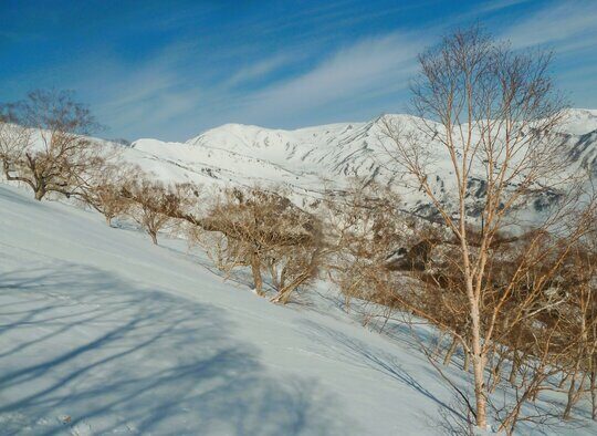 Japon - Ski dans les Alpes Japonaises, Mont-Fuji 