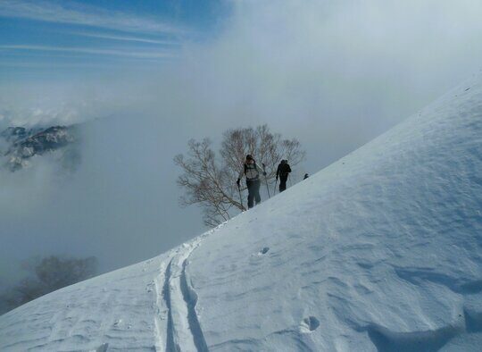 Japon - Ski dans les Alpes Japonaises, Mont-Fuji 