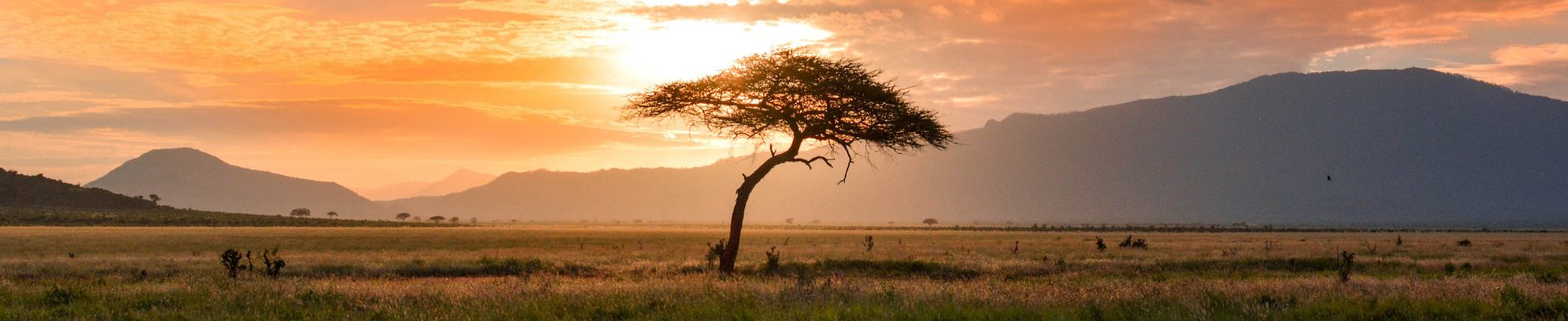 Kenya - Les Matins du Monde