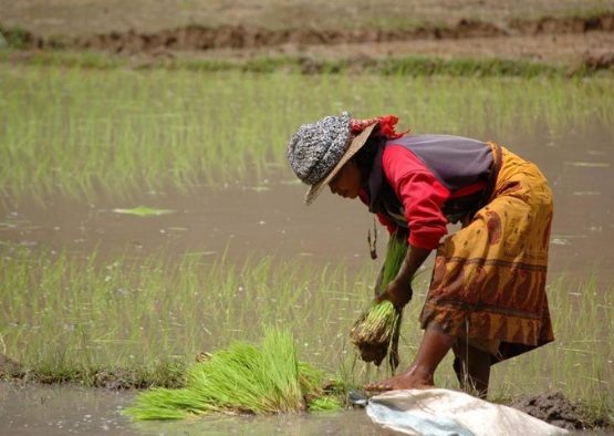 Randonnées et Trekking des Hautes Terres - Les matins du monde