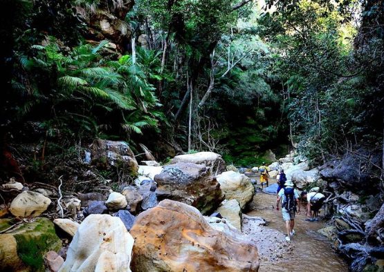 La Traversée Nord Makay - Les matins du monde