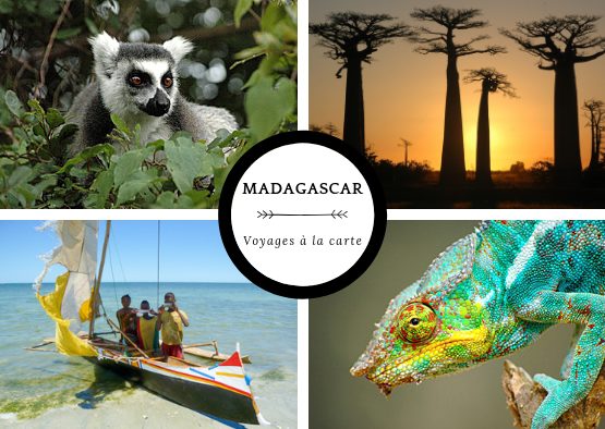 A la carte : votre voyage sur mesure - Les matins du monde